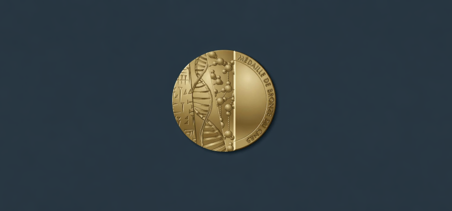 Three researchers from the Institut Polytechnique de Paris receive the 2026 CNRS Bronze Medal